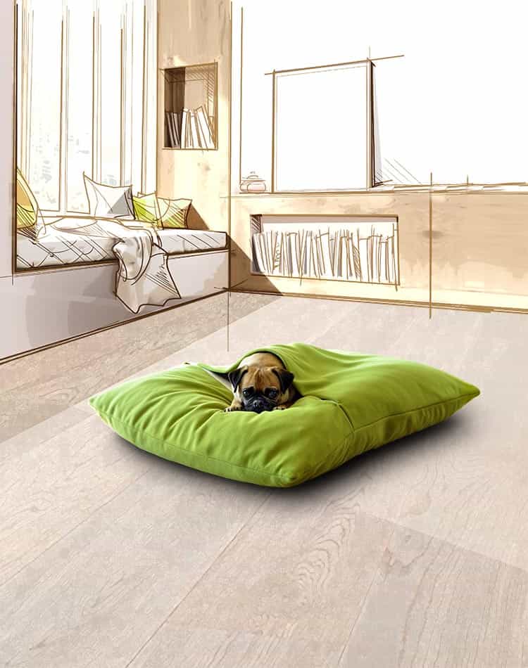 DIVAN Due our premium dog bed