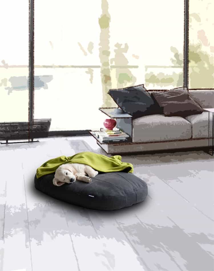 Design dog bed Lounge POOF