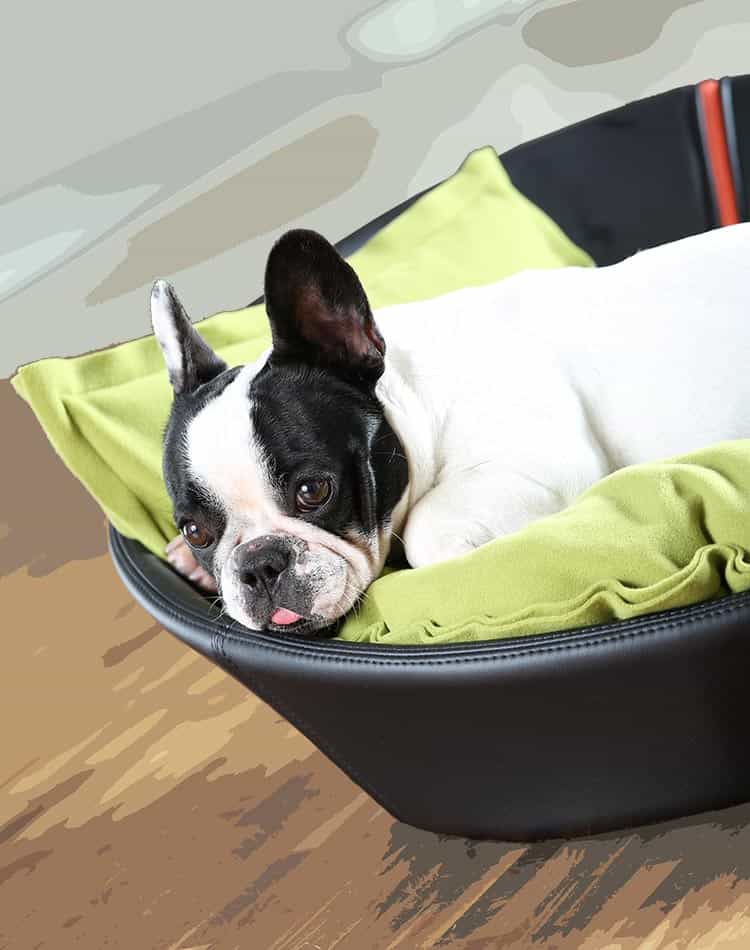 MILA faux leather puppy bed