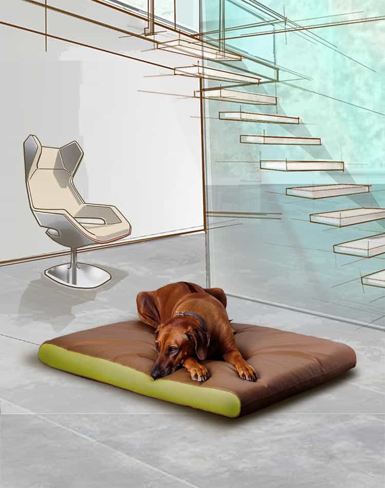 PETER Faux leather memory foam dog beds