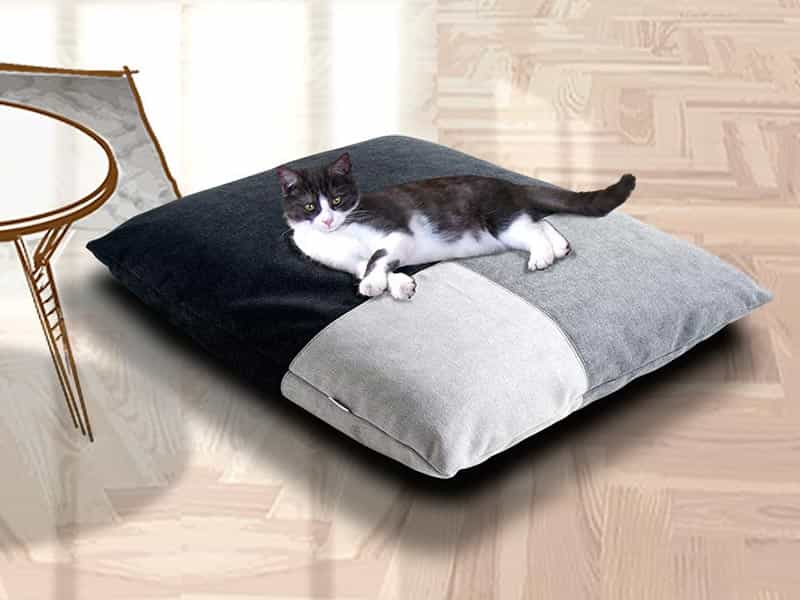 Cuscino per gatti è un prodotto per animali di lunga durata