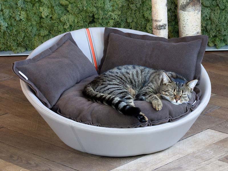 leather cat bed