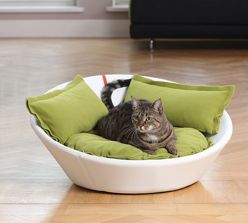leather cat bed