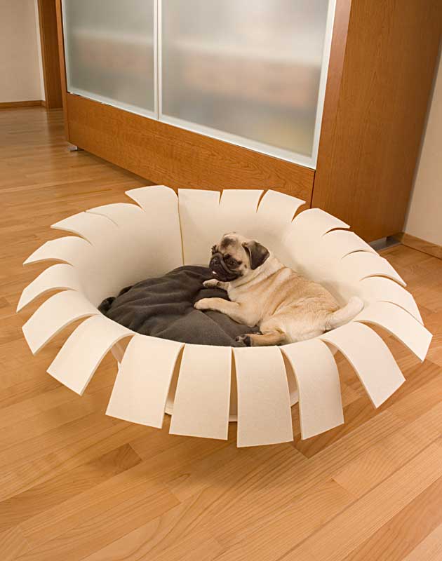 modern dog bed