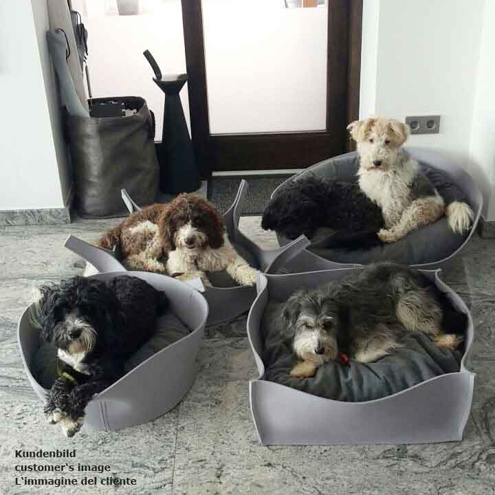 Cuccia cane feltro ARENA