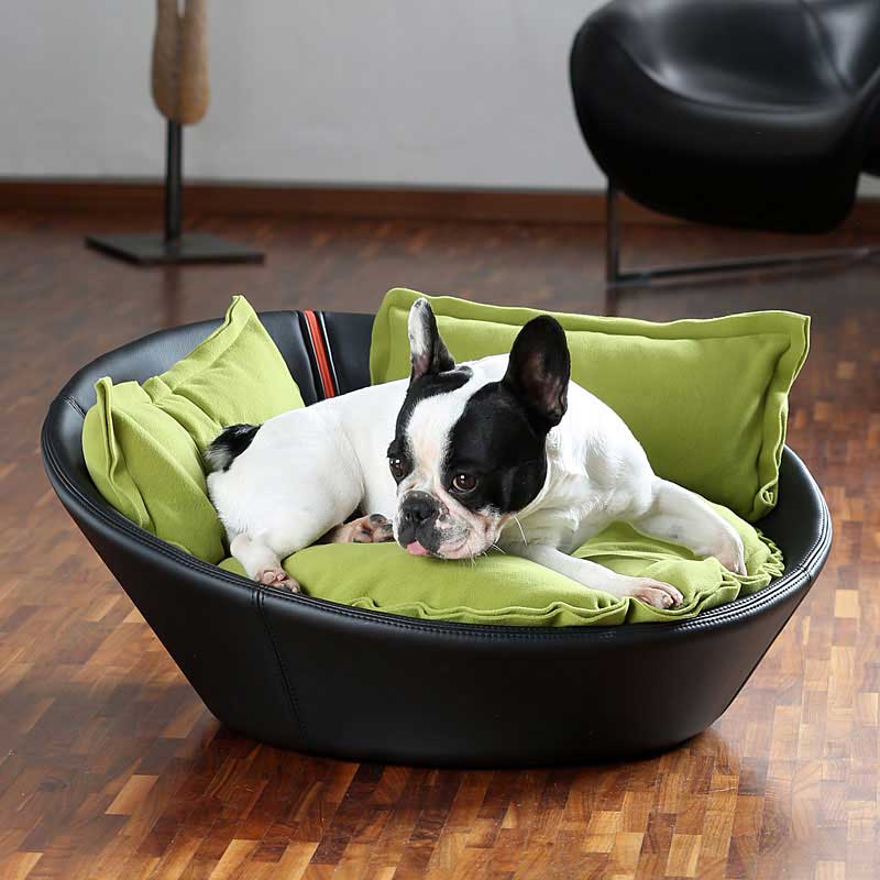 leather couch dog bed