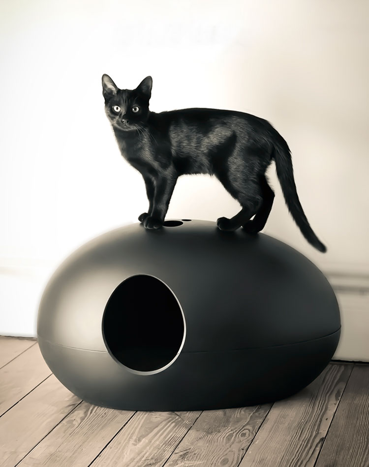 POOPOOPEEDO cat litter box