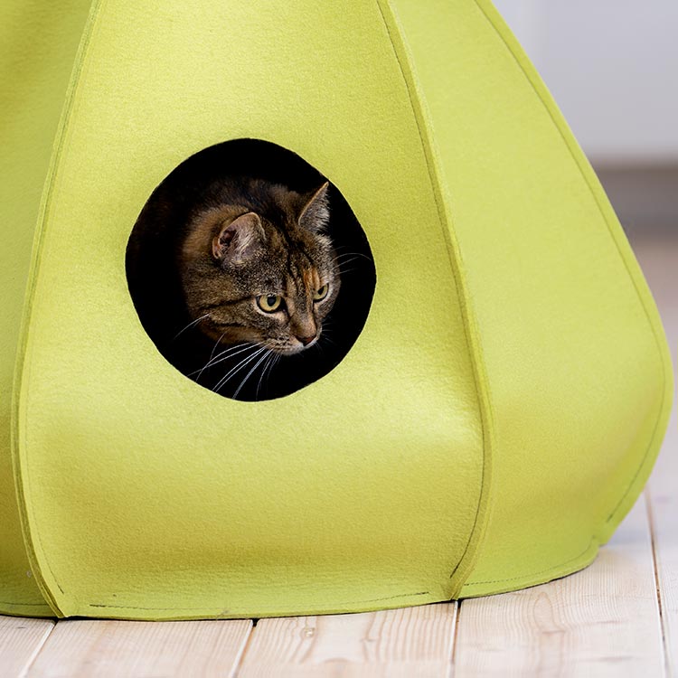 Cat house BERTA