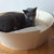 Cat basket felt LIDO
