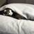 Schlafsack für Katzen Divan DUE