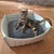 BOWL cestino per gatti di pelle