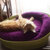 Designer cat bed ARENA felt