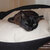 ARENA felt designer cat bed