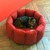 Nido di coccole per gatti BLOOM