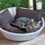 Letto per gatti MILA ecopelle