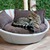 Letto per gatti MILA ecopelle