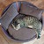 Letto per gatti MILA ecopelle