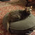 Washable cat cushion Lounge UNO