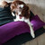 Sleeping bag for dogs Divan DUE
