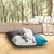 Premium dog bed Divan QUATTRO