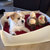 Dog bed with cushion BOWL