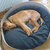 ARENA Felt orthopedic dog beds