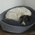 ARENA Felt orthopedic dog beds