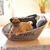 Cuccia cane design SIRO Twist