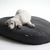 Design dog bed Lounge POOF