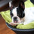 MILA faux leather puppy bed