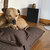 LOUNGE Uni covered dog bed