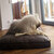 Leather dog cushion Lounge BUFFALO.