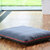 Dog bed with removable cover Lounge PAULINE.