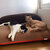 Dog bed with removable cover Lounge PAULINE.