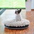 Cuscino rotondo cane Lounge ROSE