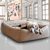 BOOX: Hundebett Leder orthopädisch