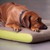 Materasso per cani memory foam PETER