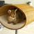 Cat bed RONDO Stand Rattan