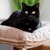 Katzenbett waschbar POET