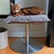 Katzenbett waschbar POET