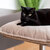 Design cat bed POET for the perfect view