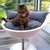 Katzenbett deluxe COSMO