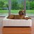 Design Hundebett CUBE Leder