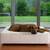 Genuine leather dog bed CUBE