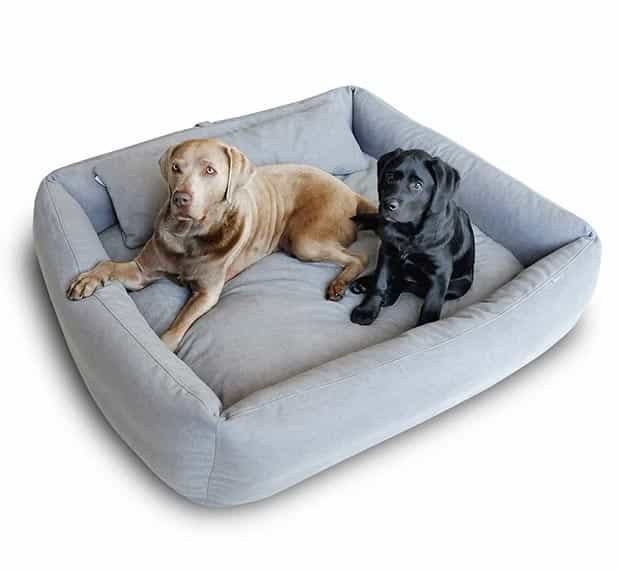 White Retriever cuddling in dog bed CUBE by pet-interiors.