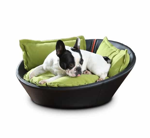 French Bulldog Immi im Hundekorb aus Leder von pet-interiors