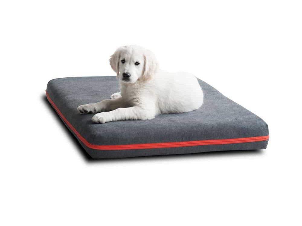 White retriever sleeps relaxed on his dog mat dog mattress from pet-interiors.