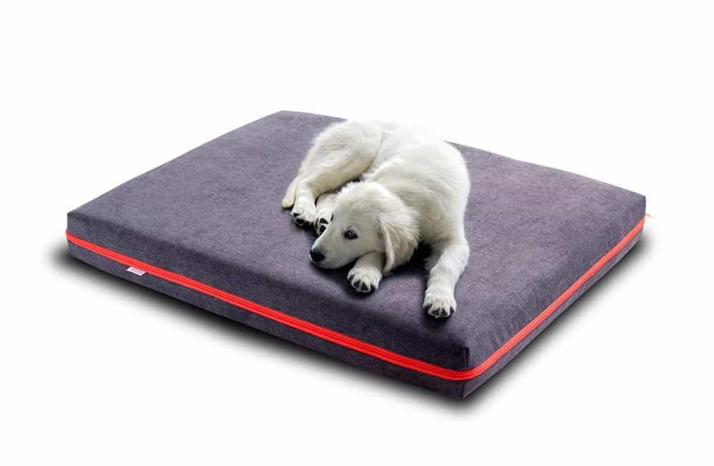 Golden Retriever snuggles on his viscoelastic dog mattress with velour cover by pet-interiors.
