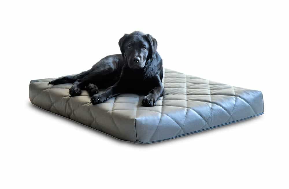 Labrador nero sdraiato sul suo materasso ortopedico per cani con rivestimento in ecopelle trapuntato di pet-interiors.