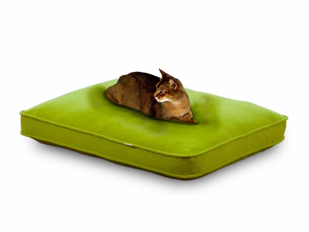 Abyssinian cat enthroned on comfort cat cushion lounge by pet-interiors.